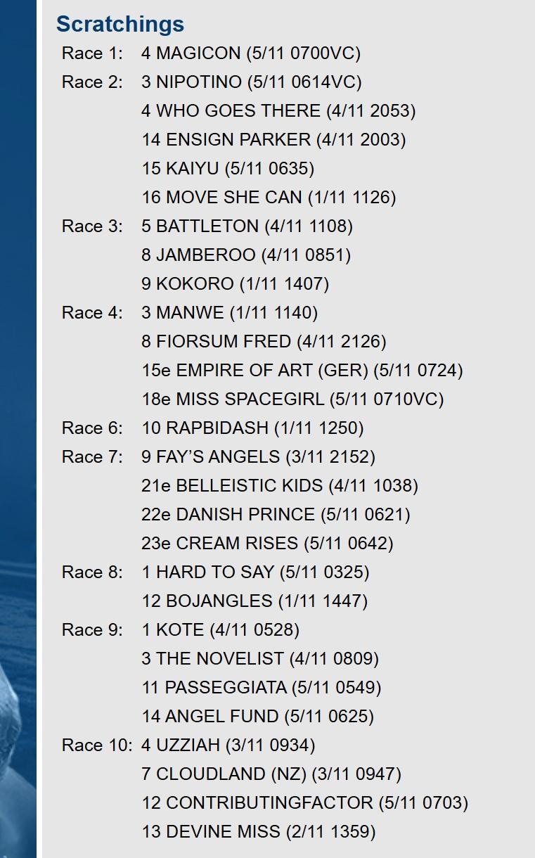 Melbourne Cup Day 2024 scratchings